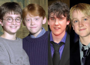 Test Quel personnage masculin de ''Harry Potter'' es-tu ? (Version lves)