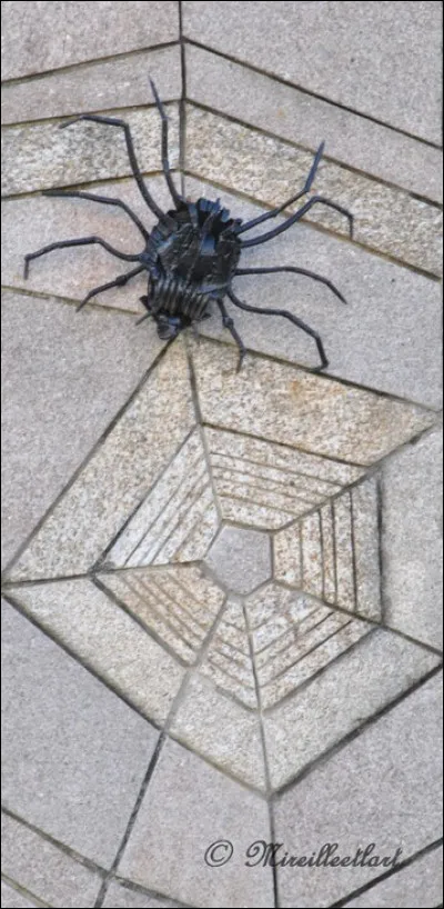 Il a une arraignée au plafond, celui-là !