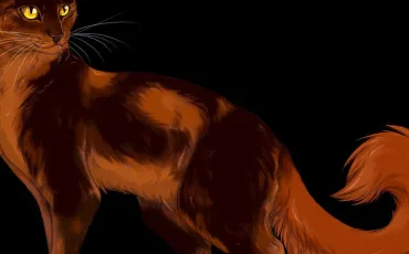 Quiz Erin hunter