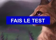 Test Ton nom LGDC : partie 1