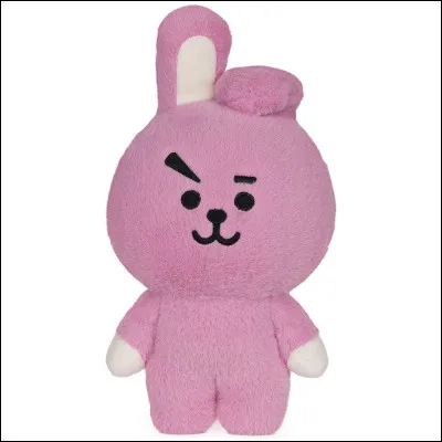 À qui appartient ce BT21 ?