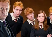 Test  quel Weasley correspond-tu le mieux ?