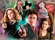 Test Je te choisis un fond d'cran ! dition ''Harry Potter''