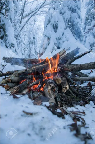 Qui est Étoile de Feu pour Flocon de Neige ?