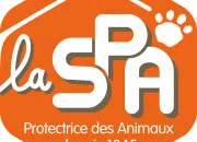 Quiz Autour de la SPA pour cette journe internationale contre l'abandon des animaux de compagnie