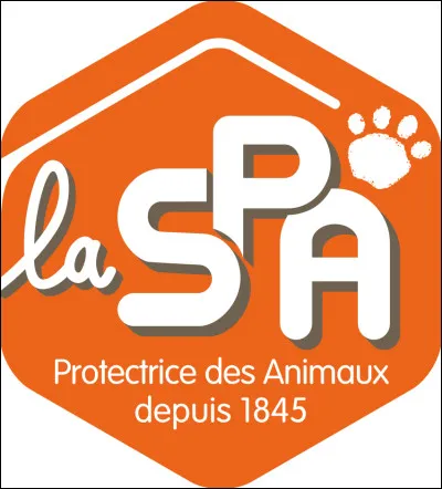 Que signifie l'abréviation "SPA" ?