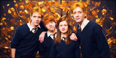 Comment s'appelle la seule fille de la famille Weasley ?