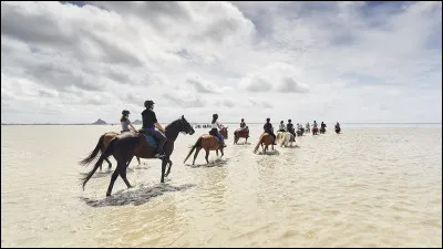 Quel type de chevaux montes-tu dans ton centre ?