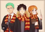 Quiz ''Harry Potter'' ou ''One Piece'' ?