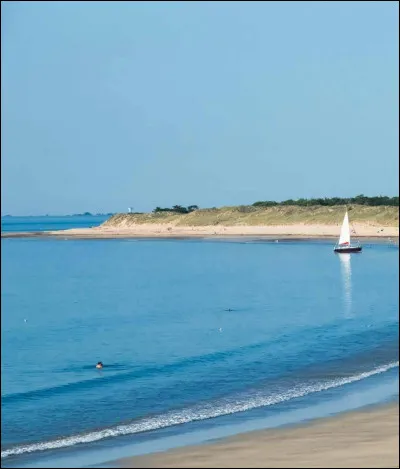 Quel acteur voit-on dans le film "L'Hôtel de la plage" ?