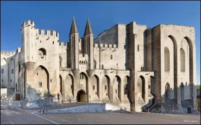 Dans quelle ville du Vaucluse ''le Palais des Papes'' est-il situé ?