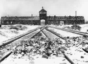 Quiz La Shoah : hommage aux victimes (2)