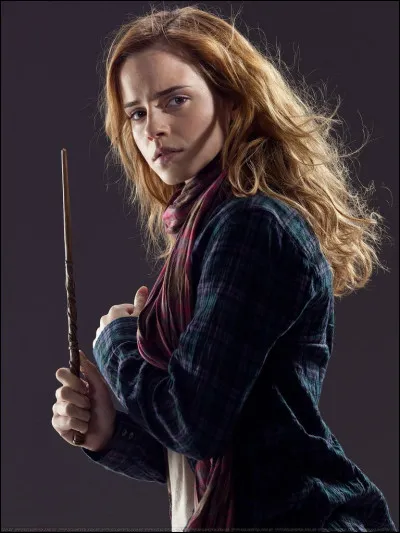 En quelle année est née Hermione Granger ?