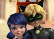 Quiz Vrai ou faux : Ladybug et Chat Noir