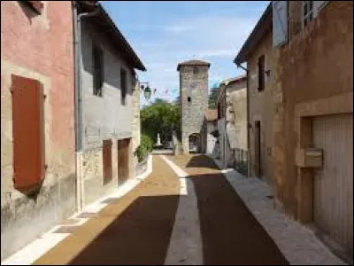 Aujourd'hui, nous commençons notre périple dans la rue principale de Biran. Village de l'aire d'attraction Auscitaine, traversé par la Baïse et l'Auloue, il se situe dans l'ex région ...