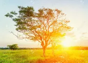 Test Quelle phase de soleil te correspond le mieux ?