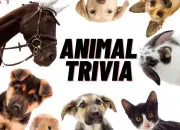 Quiz Quel animal suis-je ?