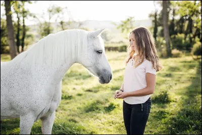 Que préfères-tu dans l'équitation ?