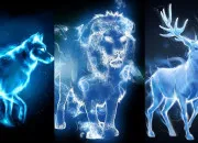 Quiz Quel est leur patronus ?