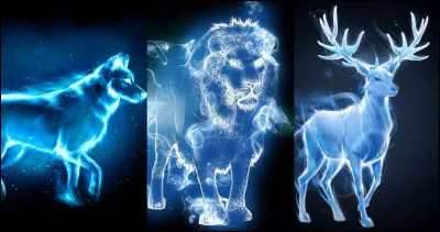 Quel genre de patronus veux-tu avoir ?