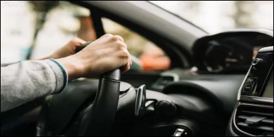 On appelle les conducteurs de car ou de voiture en langage familier Chauffeur. Et en hongrois...