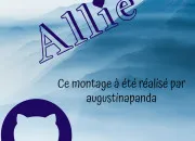 Quiz Connais-tu vraiment Allie ?