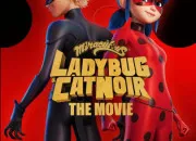 Test Quel est ton personnage dans ''Miraculous : Ladybug et Chat Noir'' ?