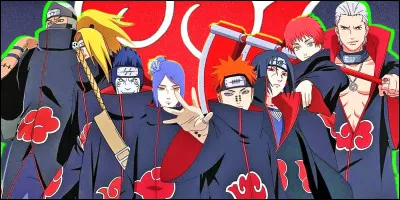 Qui préfères-tu dans l'Akatsuki ?