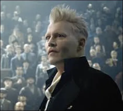 Qui parmi ces personnages a été victime de Grindelwald ?