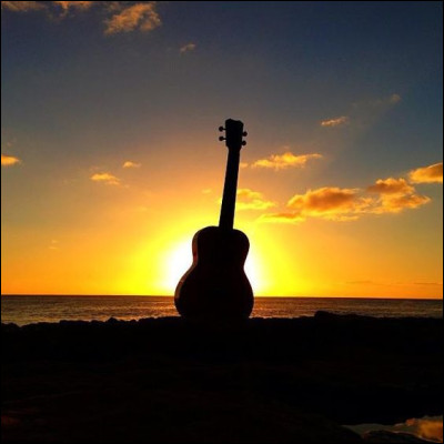 Musique : qui chantait "Quand la musique est bonne" ?