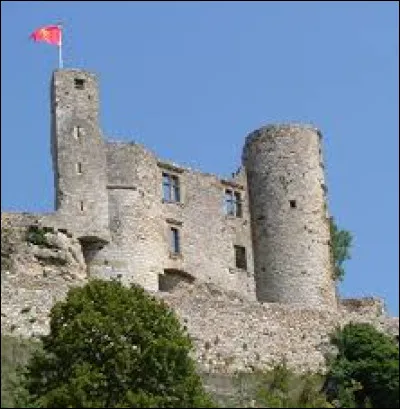 Je vous propose de commencer notre première balade du week-end au château de Bertholène. Commune de l'aire d'attraction Ruthénoise, sur les bords du Dourdou de Conques, elle se situe dans le département ...