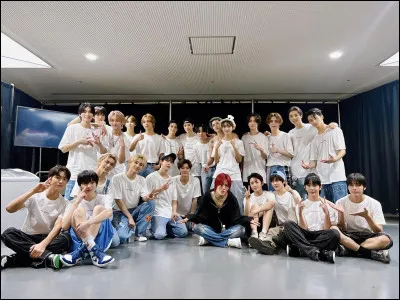 Combien y a-t-il de membres dans le groupe Stray Kids ?