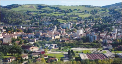 Dans quel département est située la ville de "La Ricamarie" ?