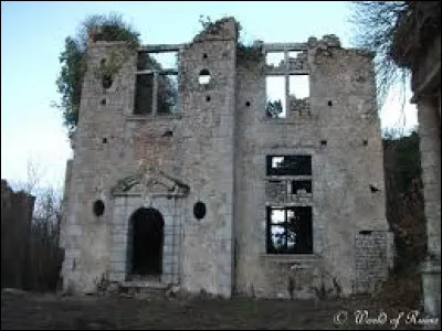 Nous commençons notre balade devant les ruines du château de la Meilleraye, à Beaulieu-sous-Parthenay. Village de l'aire d'attraction Parthenaisienne, il se situe dans le département ...