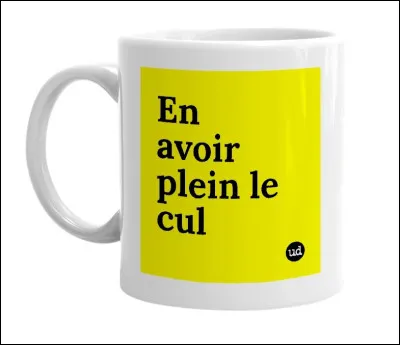 Que signifie l'expression : "en avoir plein le c*l" ?