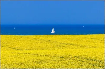 À quel drapeau vous fait penser cette scène ?