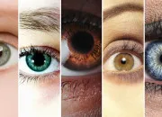 Quiz La couleur des yeux