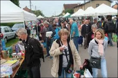 Aujourd'hui, nous démarrons notre balade à la traditionnelle brocante de l'Ascension, à Croismare. Village traversé par la Vezouze, près de Lunéville, il se situe dans le département ...