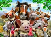 Quiz Quiz de rapidit sur les animaux de la ferme !