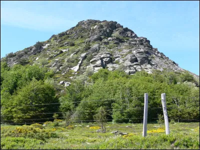 Où la Loire prend-elle sa source en Ardèche ?