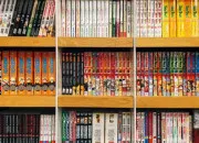 Quiz De quel manga viennent-ils ?