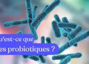 Quiz Les probiotiques