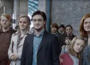 Test Qui sont tes parents dans ''Harry Potter'' ?