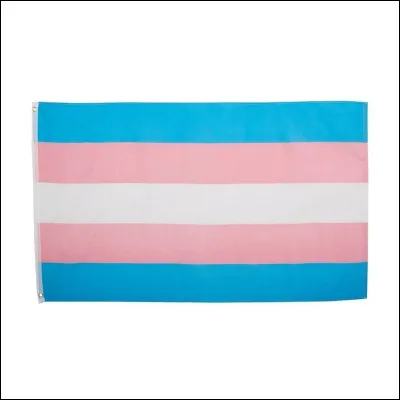 Quel est ce drapeau LGBTQ+ ? Celui des...