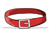 Quiz Ceinture