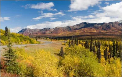 L'été est la période idéale pour se rendre en Alaska. Quelle est la température moyenne en cette saison ?