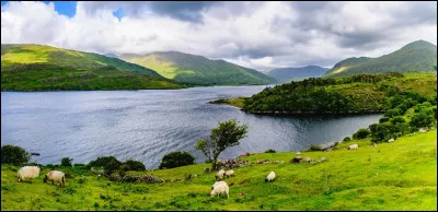 Musique : Qui a "plongé nue dans un lac du Connemara" dans la chanson de Michel Sardou ?