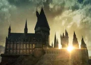 Test Dans quelle cole du monde de ''Harry Potter'' irais-tu ?