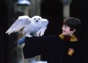 Quiz ''Harry Potter''