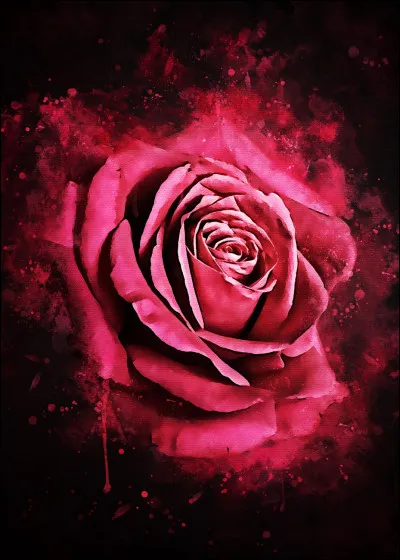 La rose est le symbole de l'...